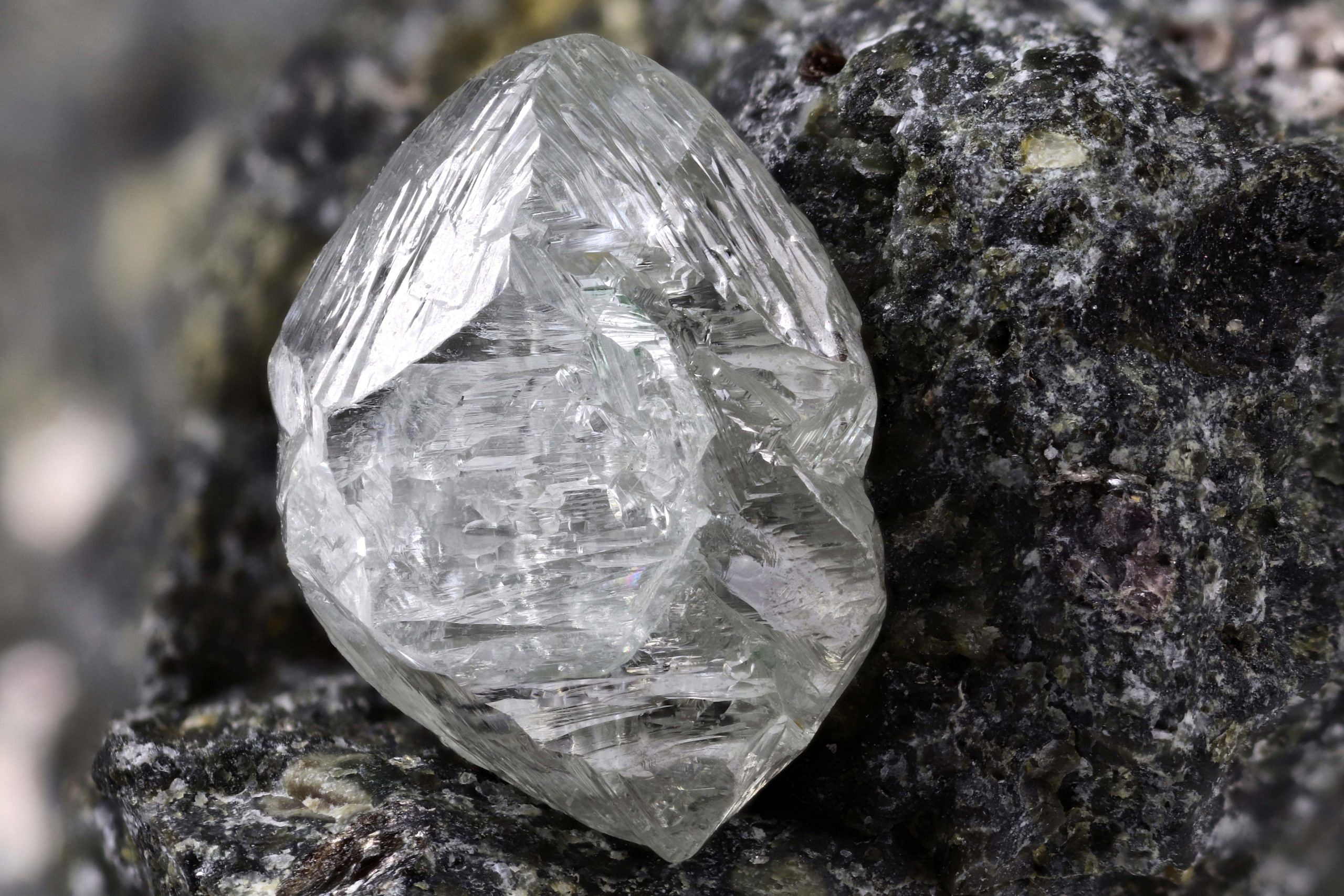 Mined Diamond Durham Rose